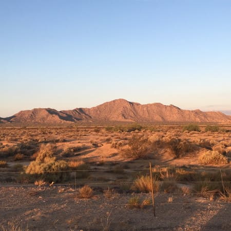 The Desert DylanCuddyDesert8August2016Mod