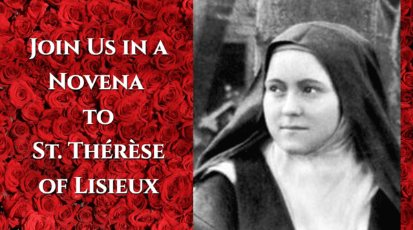 A Novena for Justice and Healing in the Church