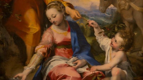 Why Mary Is the Ultimate Model and Ideal of All Women