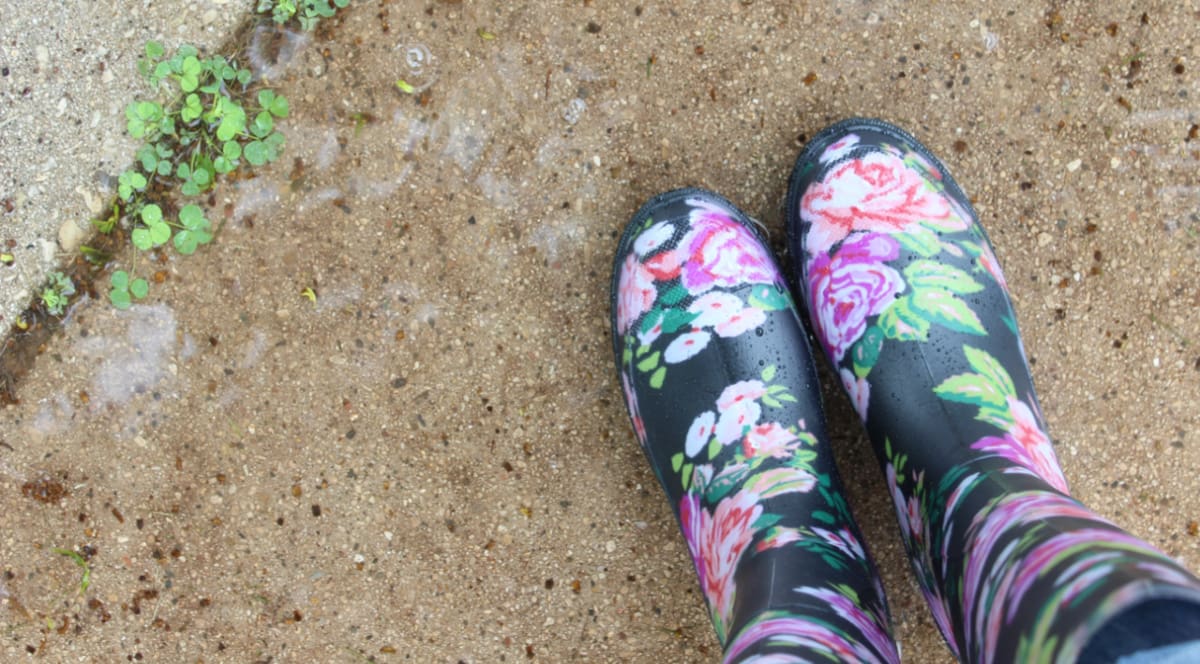 Weeding the Garden of the Soul