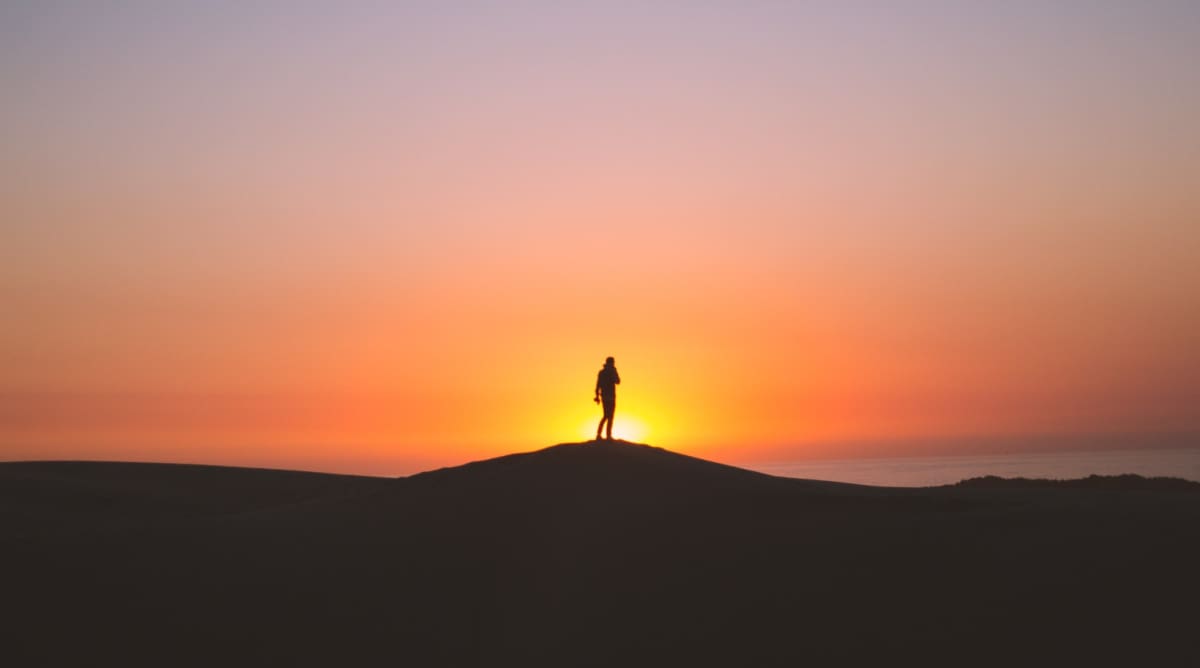 The Letters of St. Paul of the Cross: “Remain Wholly Concealed”