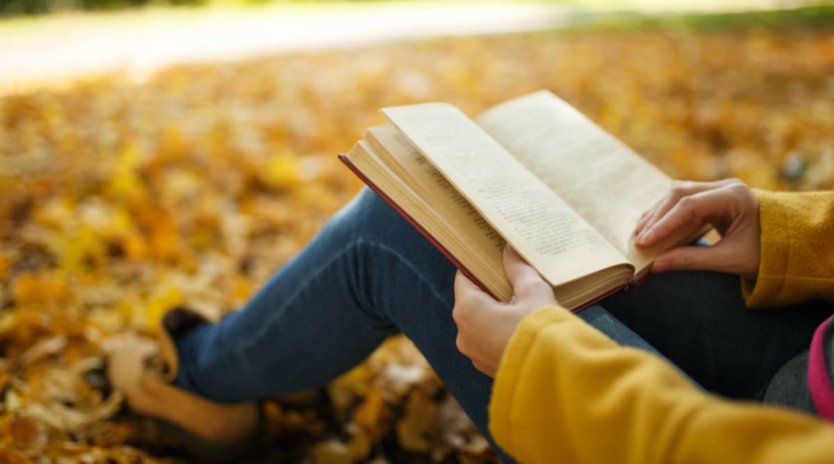 Book Review: The Devil in the Castle