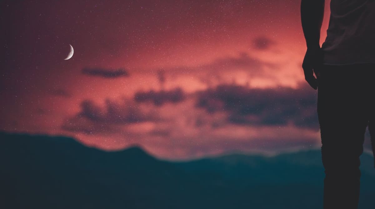 The Letters of St. Paul of the Cross: ‘Despoiled of Everything’