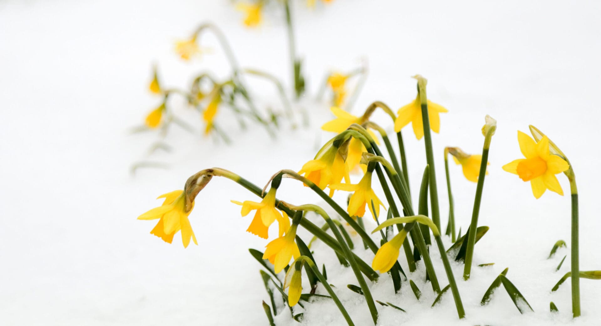 It Depends on Where You Look