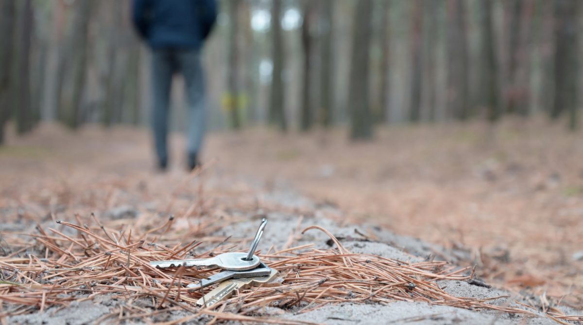 Seek and Ye Shall Find