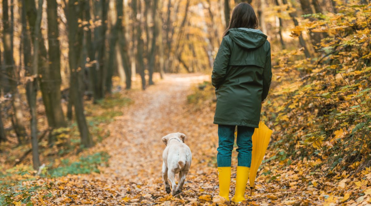 Gratitude is Always “In”