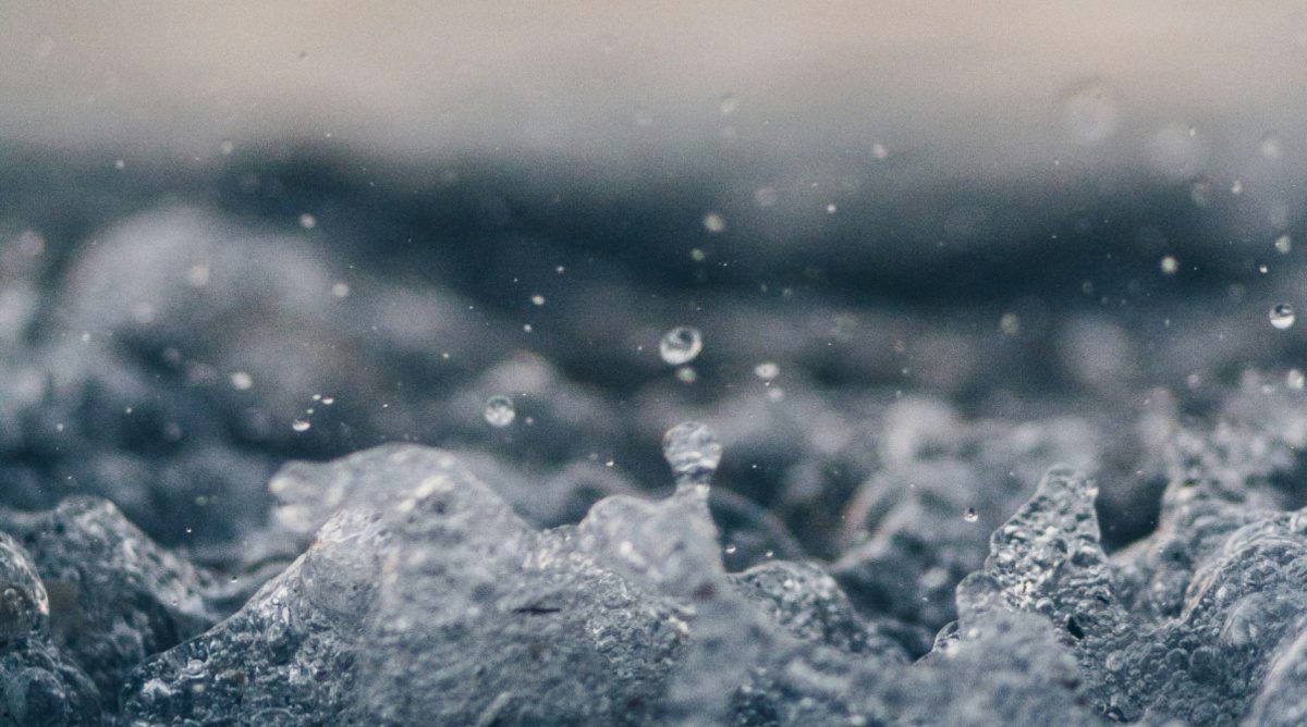 The Letters of St. Paul of the Cross: ‘Eat the Scroll and Be Consumed with Love’