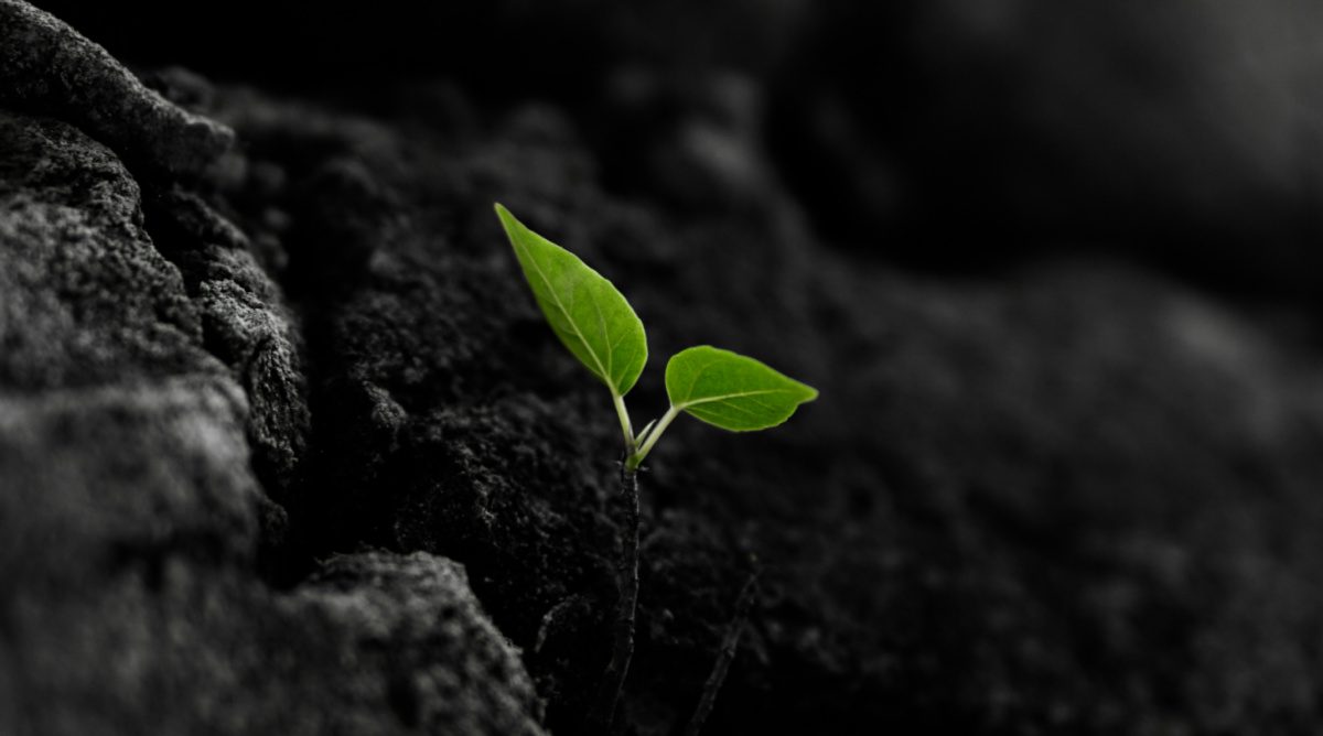 If You Can Use Anything Lord, You Can Use Me – A Homily for the 11th Sunday of the Year