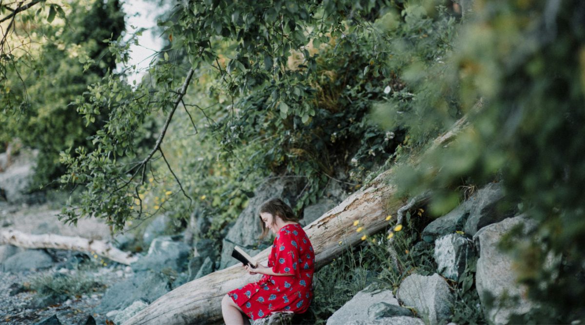 Tasting the Sweetness of Scripture