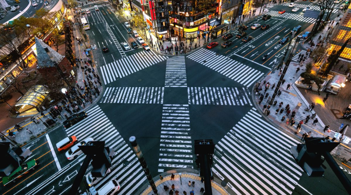 A Contemplative Presence