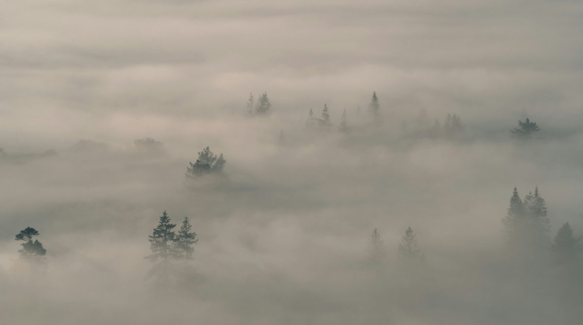 Giving Birth in the Land of Shades: Reflections on Reading Isaiah