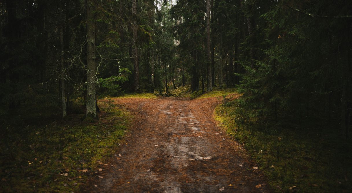 How God Led Me to Become a Spiritual Director