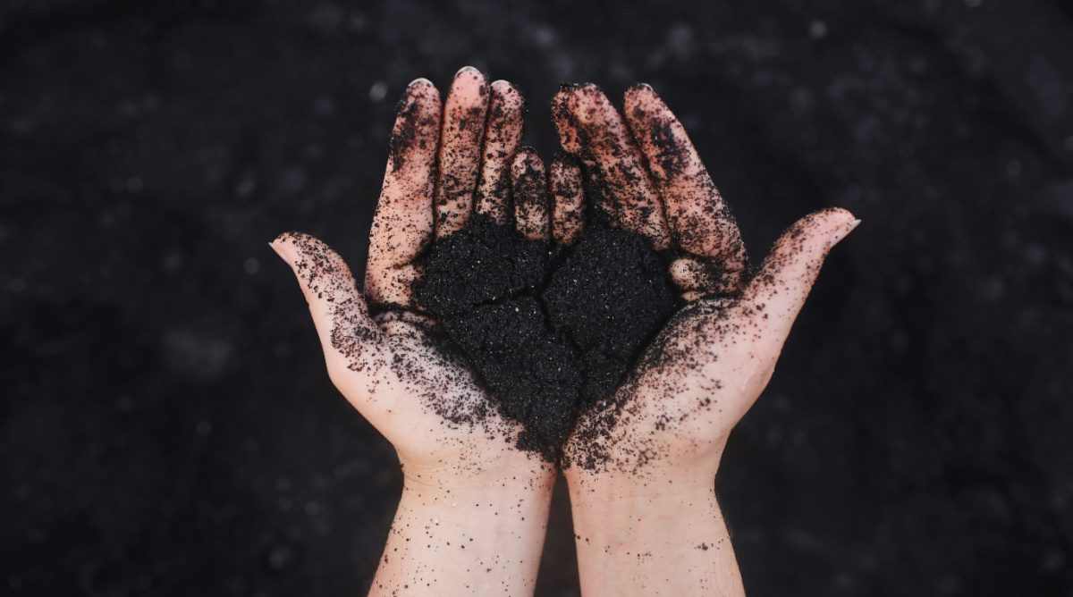 The Beauty of Meekness: Reflecting Christ’s Heart