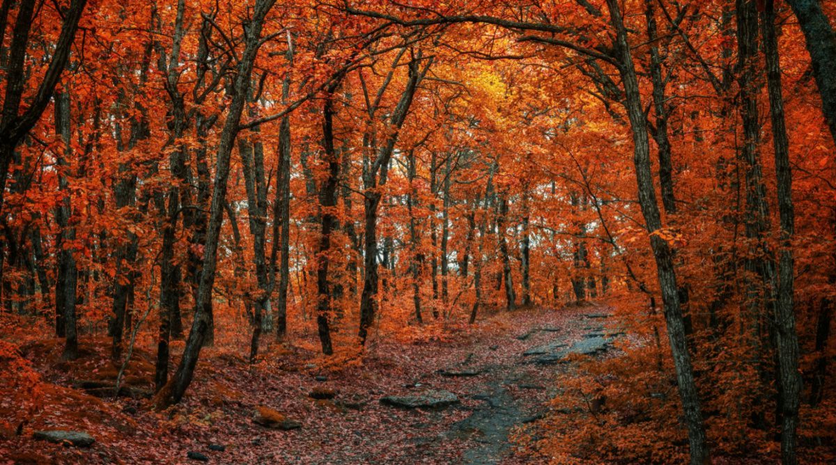 St. Leo the Great, Ember Days, and Spiritual Warfare