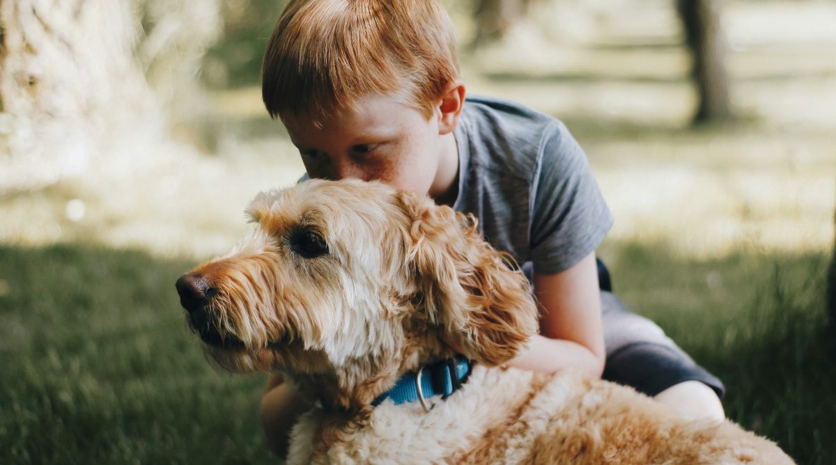 Of Mice and Man: The Vast Difference between Animals and Humans