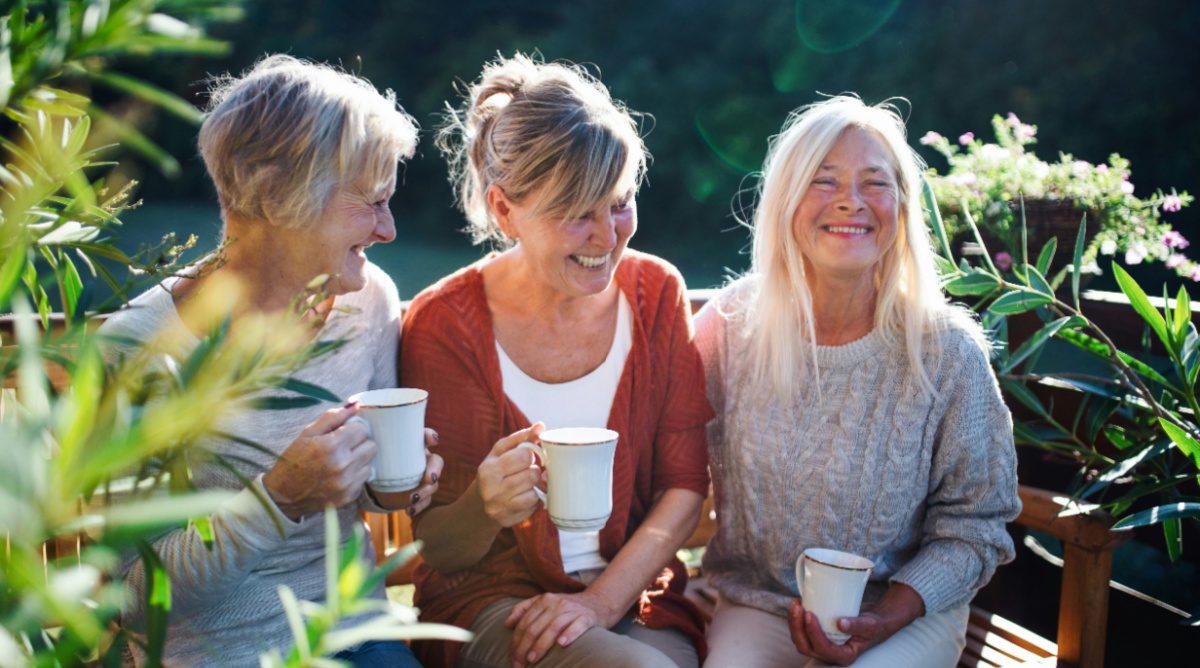 Virtue and Friendship