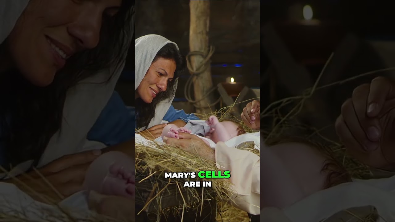 Why Mary Is Truly the Mother of God?