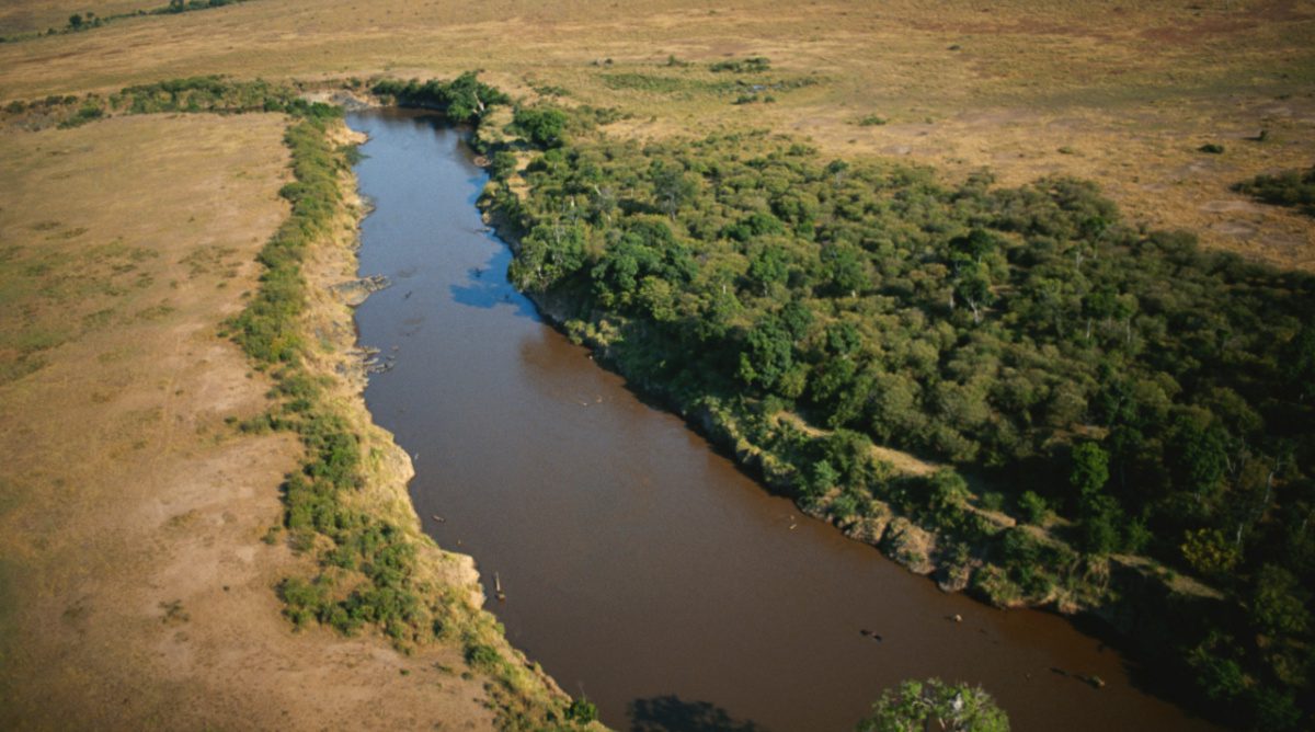 The Saving Mystery of the Lord’s Baptism