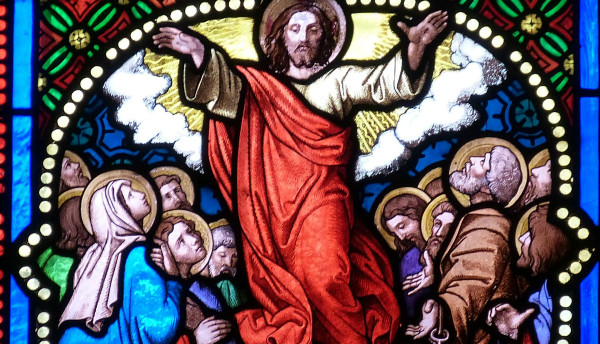 The Pilgrim Church: A Universal Call to Holiness