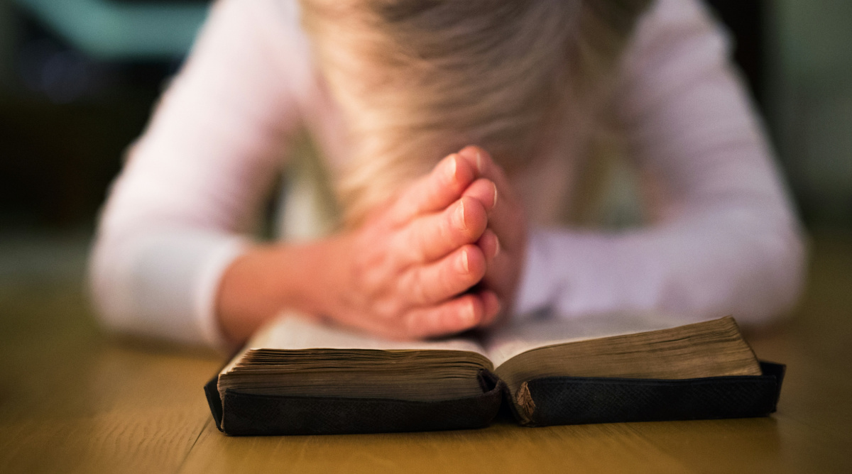 Emotional Intelligence and the Catholic Life: Becoming Wholehearted Disciples