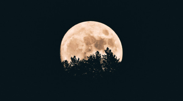 How False Spiritualities Entrap the Soul
