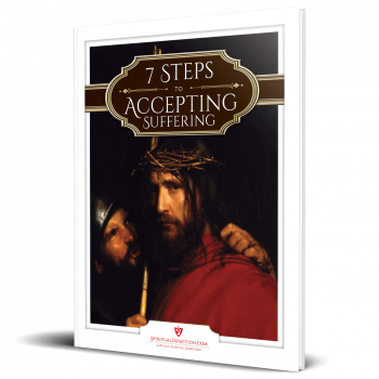 7 Steps to Accepting Suffering 3d eBook