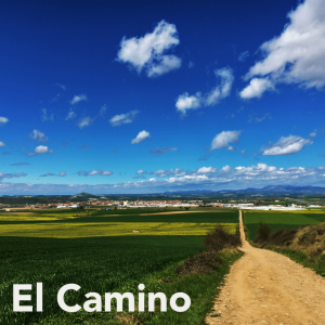 El Camino