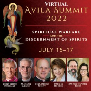 Virtual Summit 2022 6Speaker Ad_330x330 copy